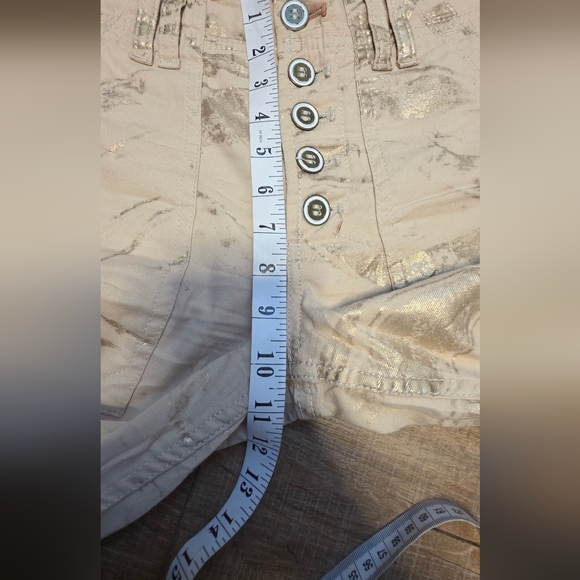 Anthropologie ($198) Pilcro “The Wanderer” Metallic Utility Pants - Picture 9 of 11